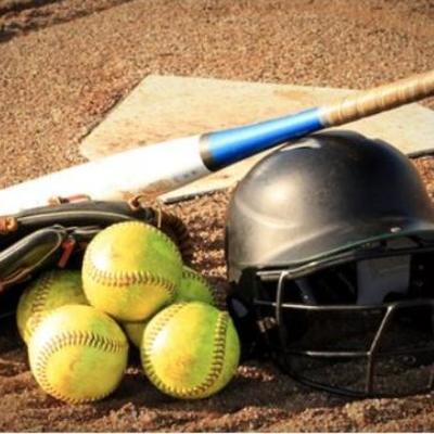 Lamar Softball profile image